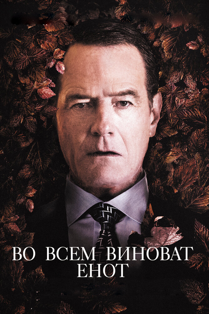 Во всем виноват енот (2016) постер