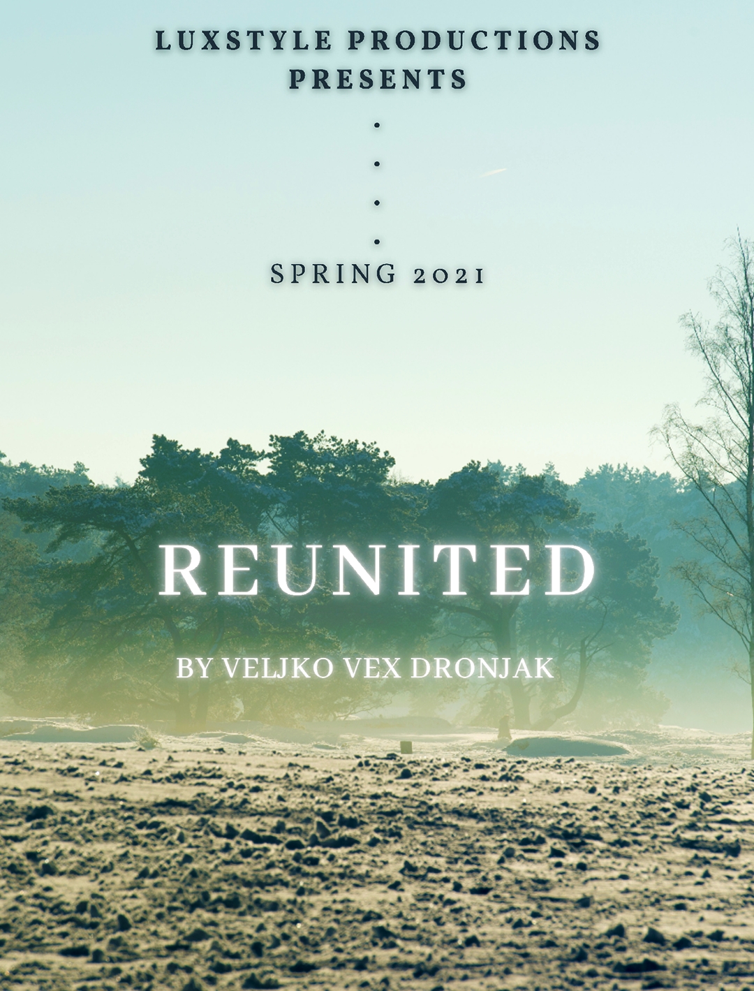 Reunited (2021) постер