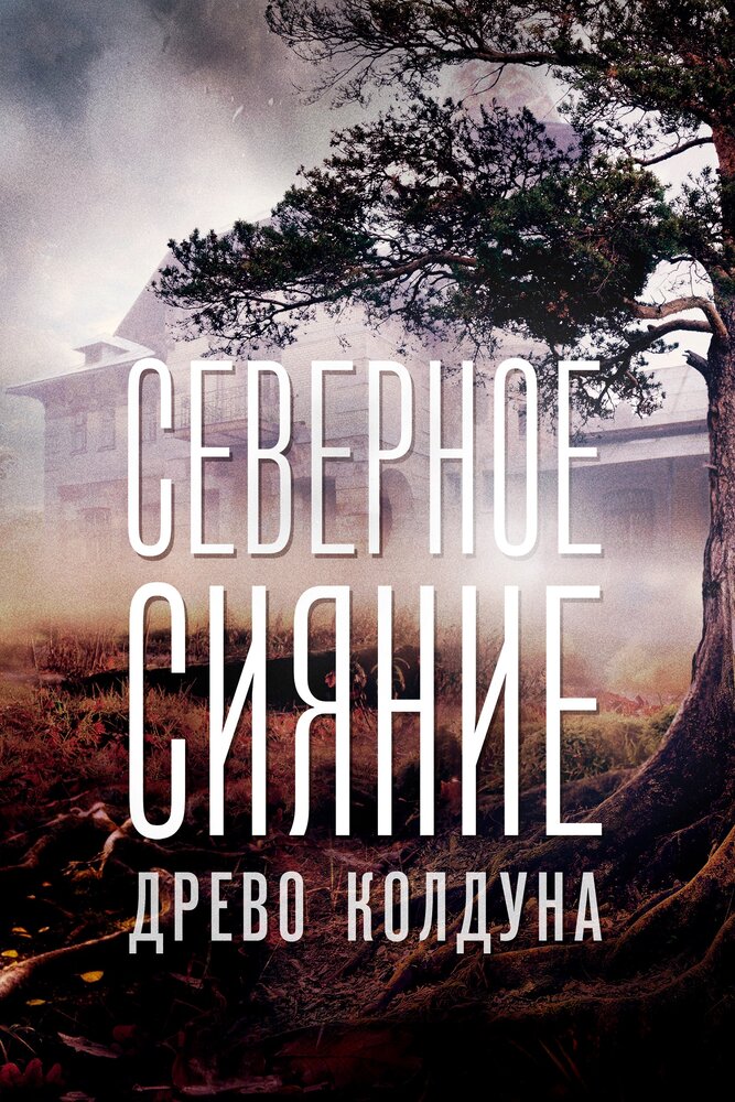 Северное сияние. Древо колдуна. Фильм восьмой (2020) постер