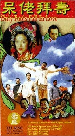 Влюбляются только дураки (1995)